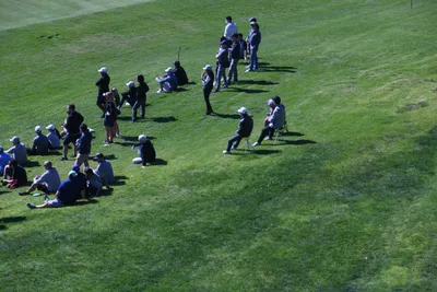 DSC_0742 (Large).JPG